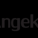 logo_angekis